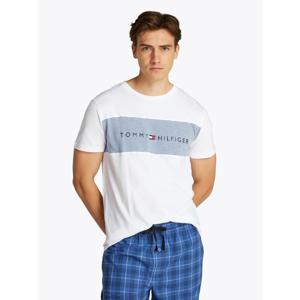 Tommy Hilfiger Block Logo T-Shirt